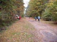 Staffelmarathon 2008 im Ostseebad Dierhagen - Bilder von Siegfried Kümmel