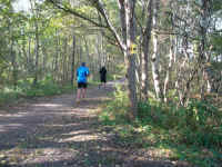 Staffelmarathon 2014 Ostseebad Dierhagen - Bilder von Siegfried Kümmel